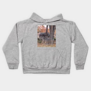 Zebras and Elephants together in Moremi Game Reserve, Botswana, Africa Kids Hoodie